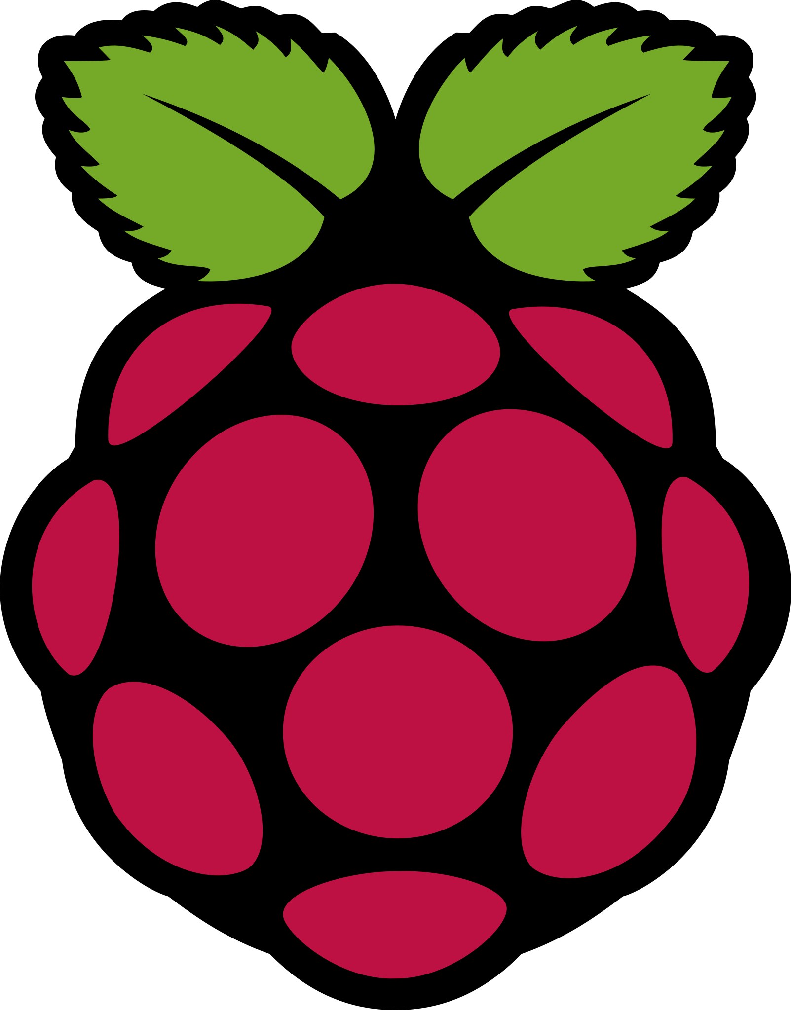 Raspberry Pİ